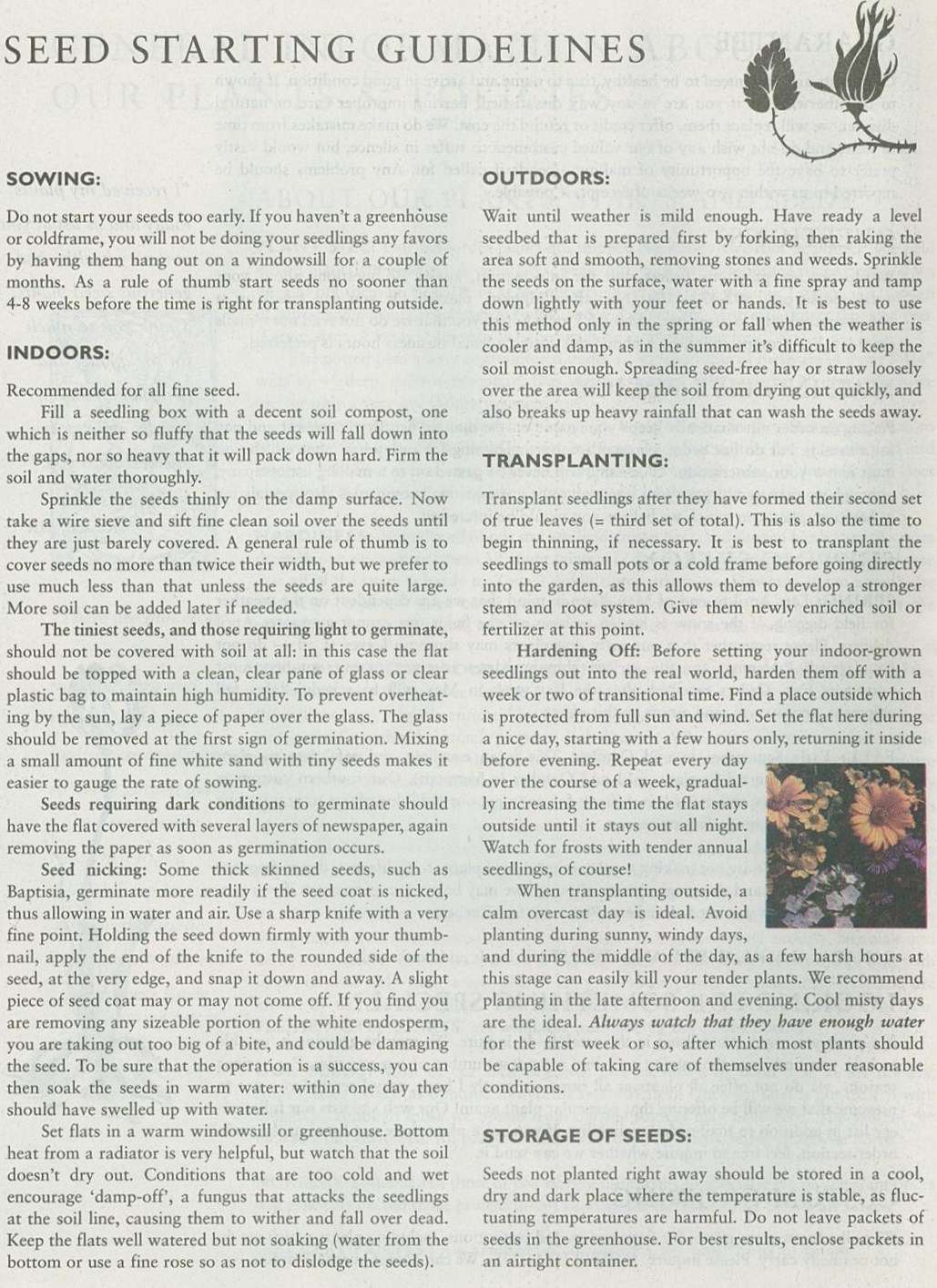 ppn-seed-starting-guidelines