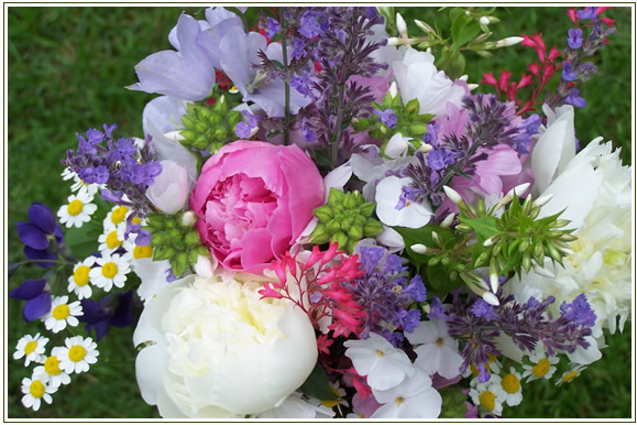 perennial-pleasures-nursery-custom-services-wedding-flowers