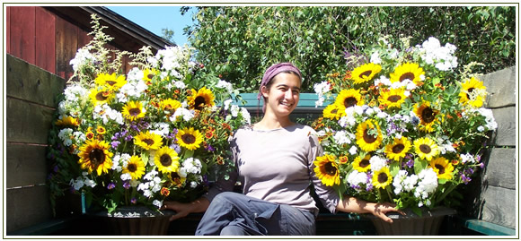 perennial-pleasures-nursery-custom-services2