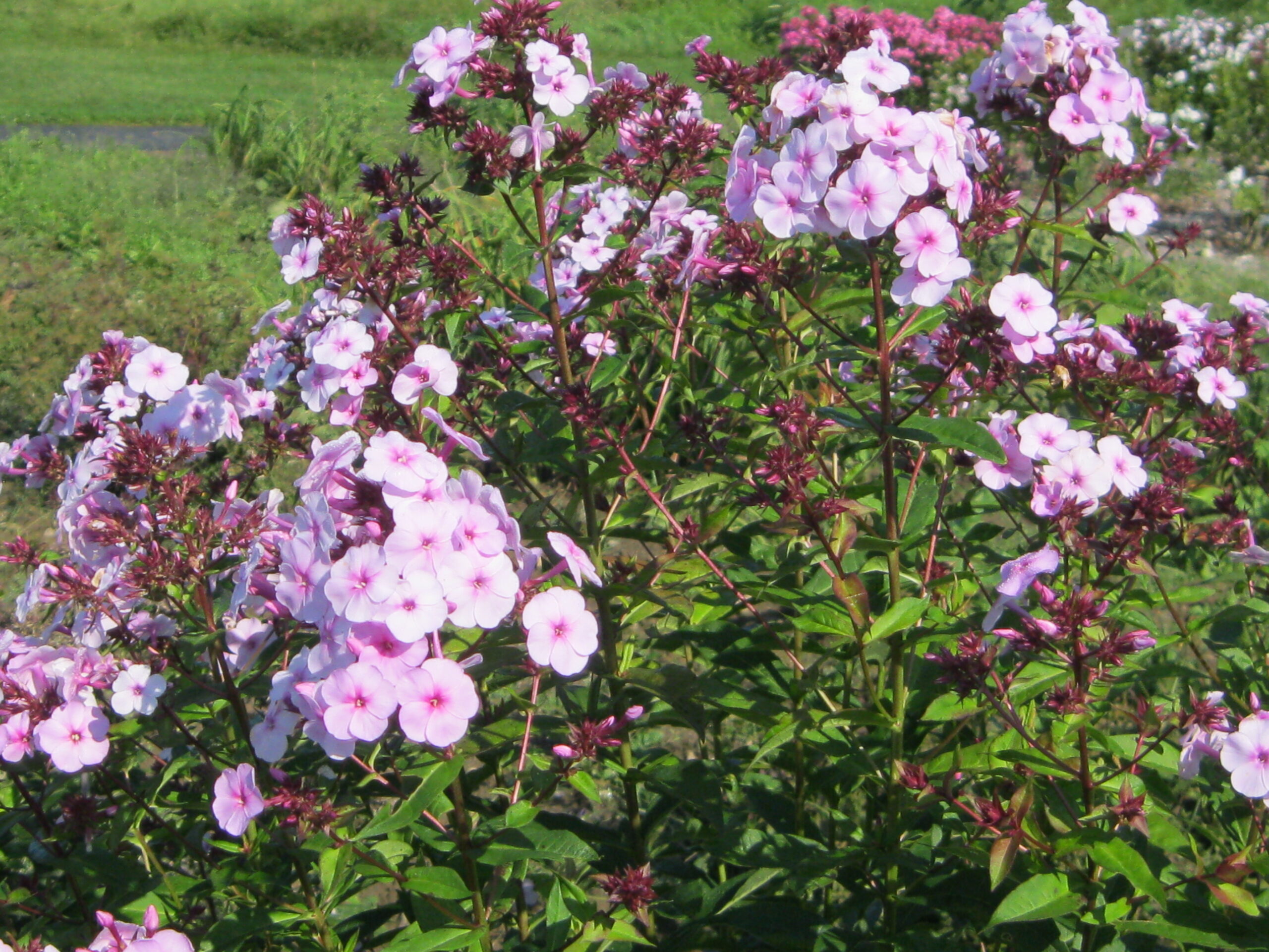 Speed Limit 45 - Image 3