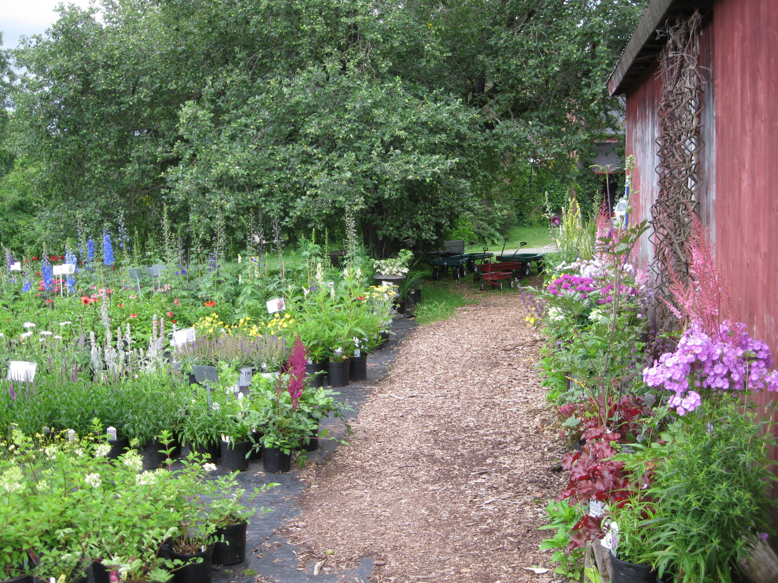 Free Sunday Garden Tours start today, and will take place every Sunday