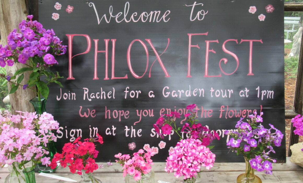 Phlox-Fest-sign-w-vases-23